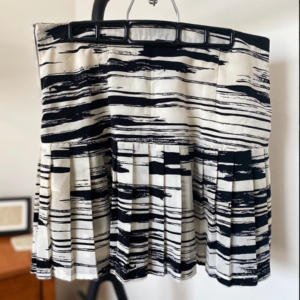 Pleated Skirt